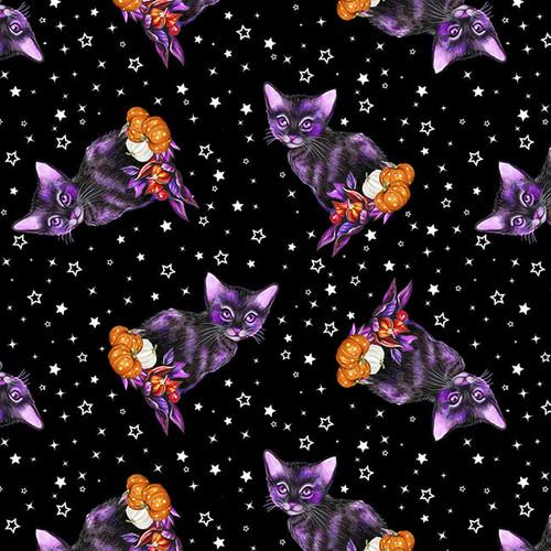 Hallowishes- Cats Black