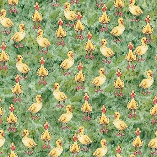 Out of Farms Way- Ducklings