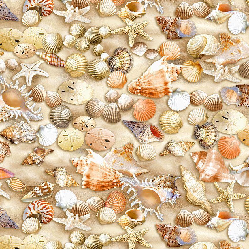 Beach Comber -Shells