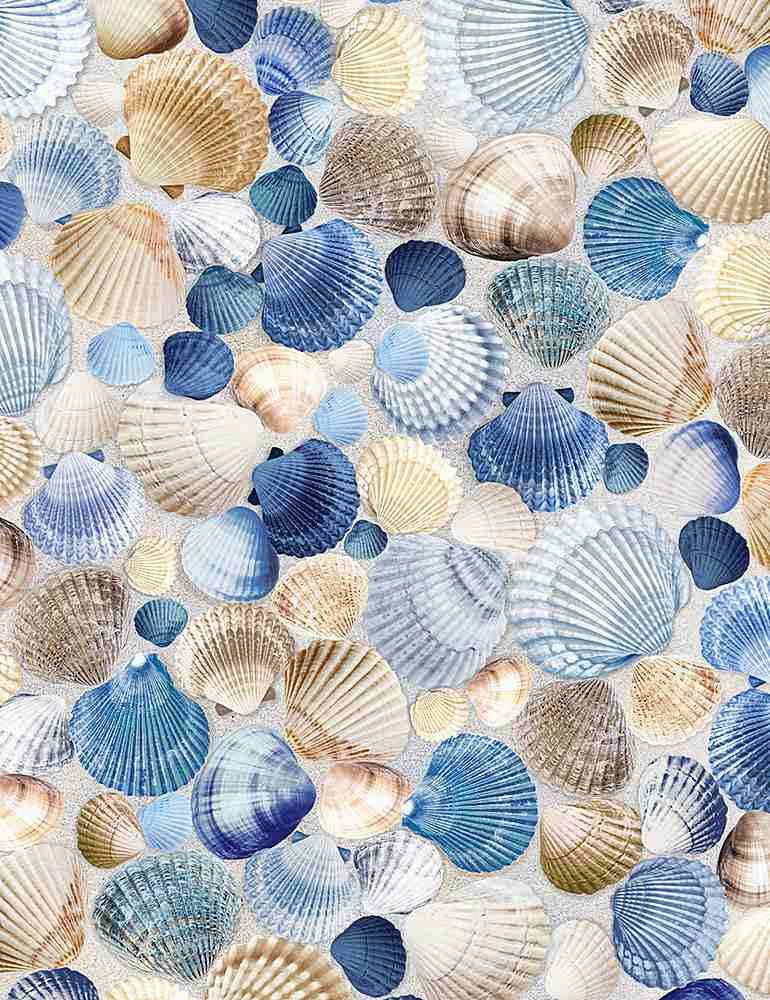 Beach Dreams- Packed Blue Seashells