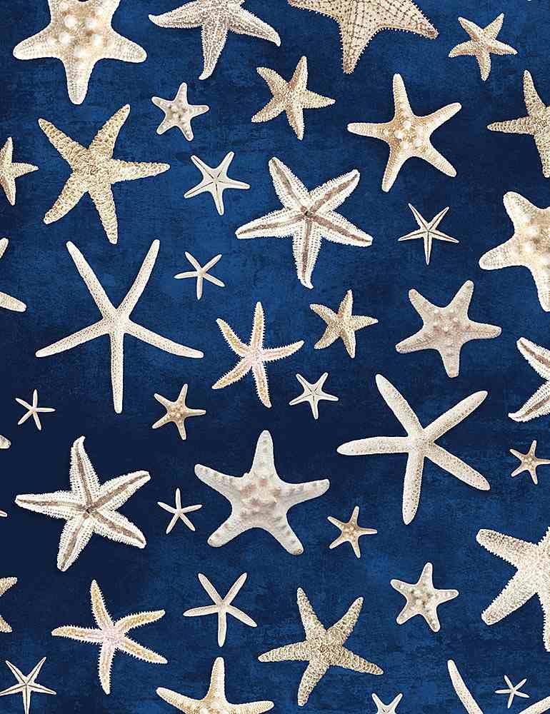 Beach Dreams- Starfish Navy