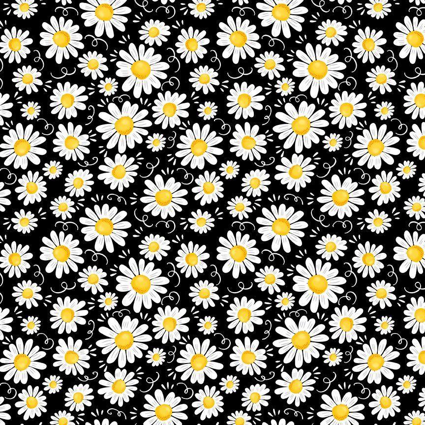 Blooming Daisies - Black