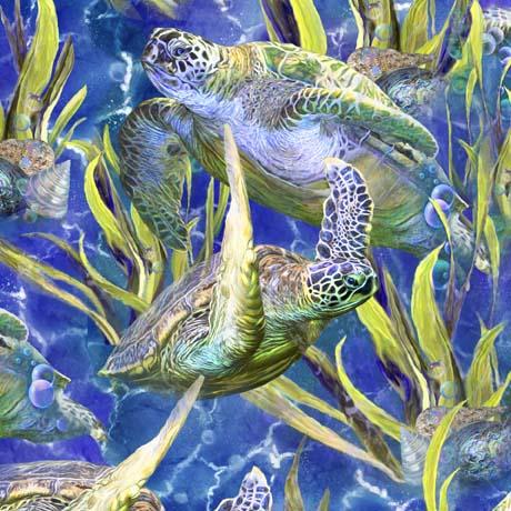 Blue Swimming Turtles Turtle Odyssey