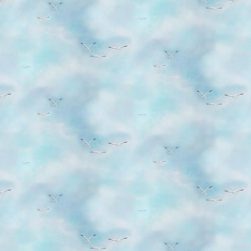 Cloud Texture - Sky Blue