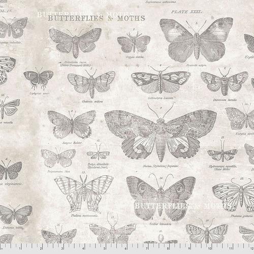 Eclectic Elements- Butterflies- Parchment