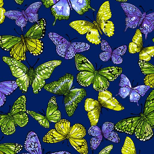 Butterfly Blue/Multi