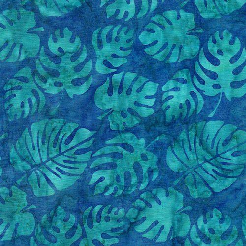 Philodendron-Surf