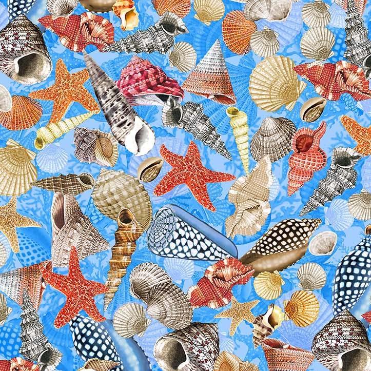 Under the Sea-Seashells -Aqua Jewels of the Sea
