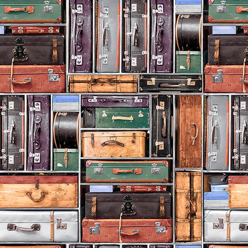 Express Trains- Suitcases