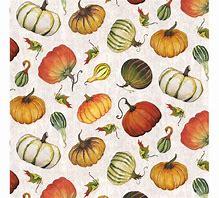 Fall Delight Mini Tossed Pumpkins Ecru
