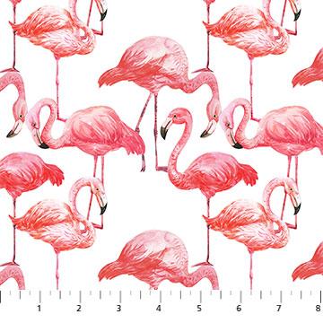 Flamingo Bay- Flamingo Spaced