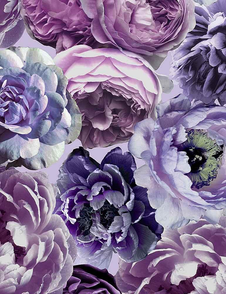 Floral Dreams- Large Purple Peonies