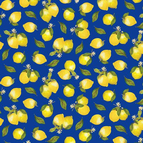 Fruit 4 Thought- Lemons