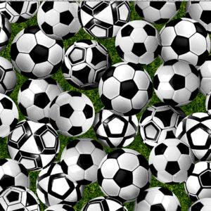 Game Day- Soccer Balls