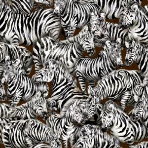 Jangala Zebras