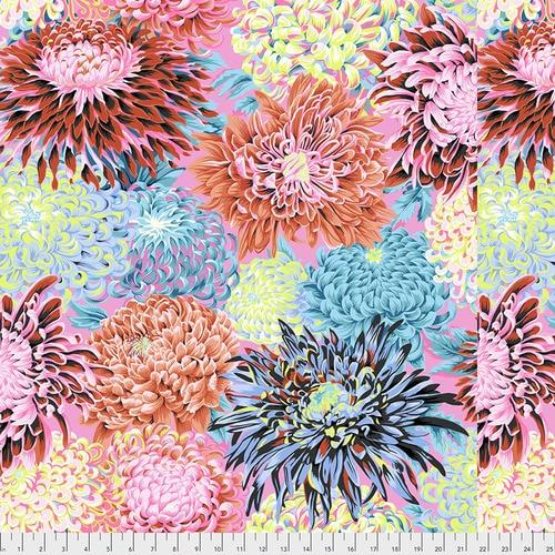 Japanese Chrysanthemum- Contrast
