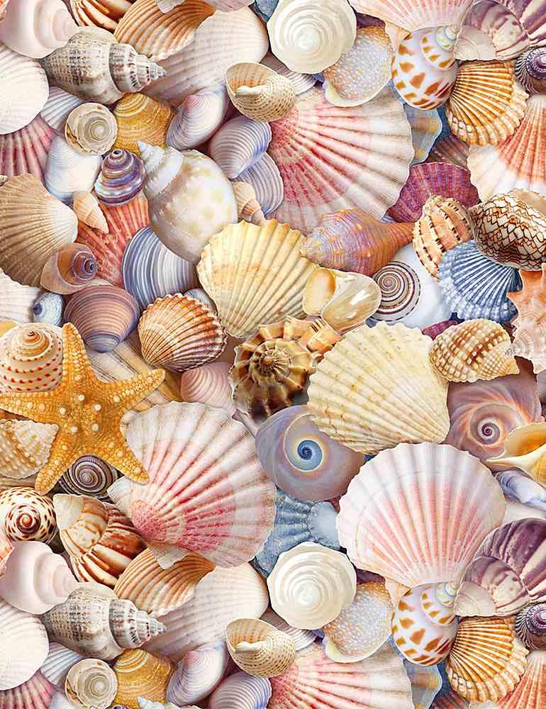 Packed Beach Shells