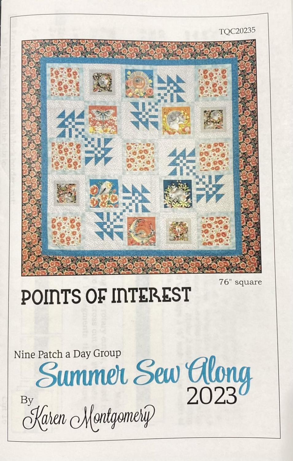 Points of Interest - Pattern 76" Square