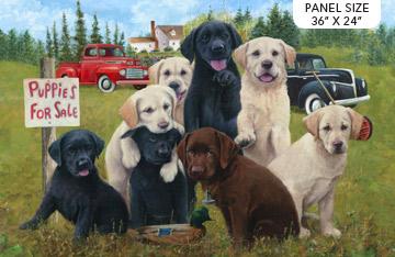Puppies For Sale Panel