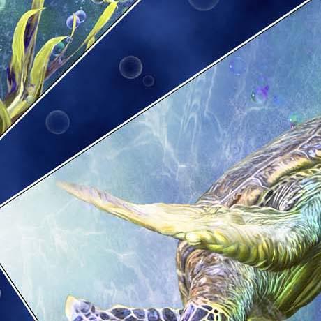 Sea Turtle Blocks Turtle Odyssey