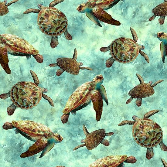 Sea Turtles - Seafoam  Tides of Color