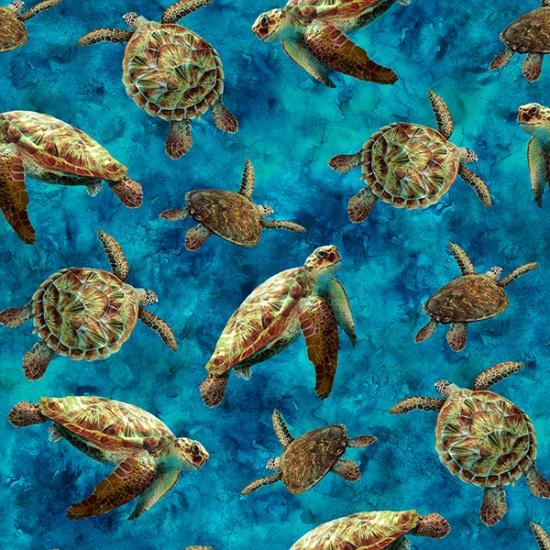 Sea Turtles - Turquoise  Tides of Color
