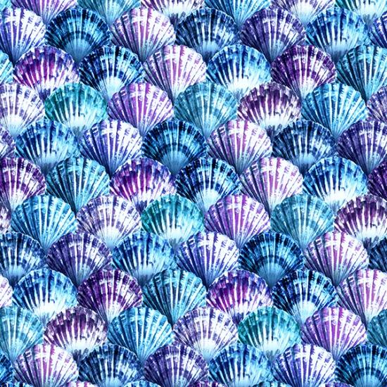 Seashells - Cerulean  Tides of Color
