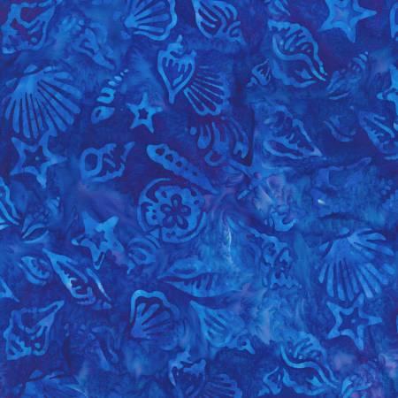 Seashells - Pacific