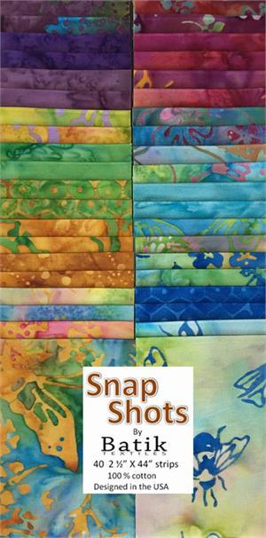 Snap Shots- Color Me Happy 2 1/2" Strips