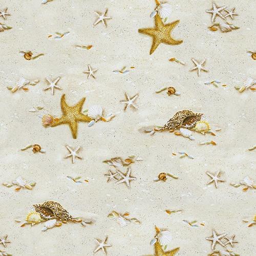 Starfish - Sand