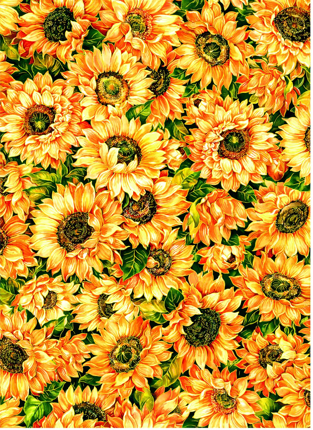 Sunflowers Gold -Change of Seasons